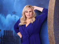 Ребел Уилсон призналась, что не может иметь детей