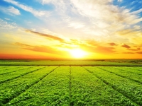 Запреты дня 14 мая 2022: что нельзя делать на Еремея