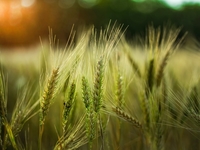 Запреты дня 21 мая 2022: что нельзя делать на Иоанна Богослова