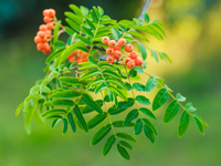 Запреты дня 25 мая 2022: что нельзя делать на Епифанов день