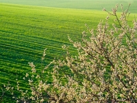 Запреты дня 28 мая 2022: что нельзя делать на Пахома Теплого