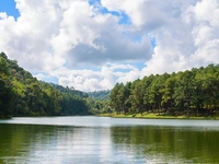 Запреты дня 8 июня 2022: что нельзя делать на Карпа Карполова