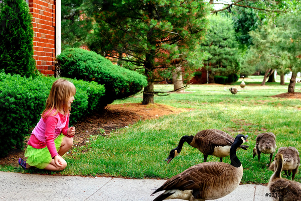 Запреты дня 10 июня 2022: что нельзя делать на Никиту Гусятника