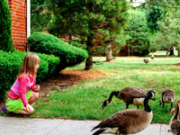 Запреты дня 10 июня 2022: что нельзя делать на Никиту Гусятника