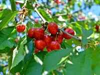 Запреты дня 16 июня 2022: что нельзя делать на Лукьянов день