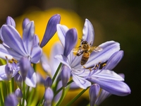 Запреты дня 2 июля 2022: что нельзя делать на Зосима Пчельника