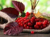 Запреты дня 11 августа 2022: что нельзя делать на Рождество Николая Чудотворца