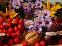 Запреты дня 9 сентября 2022: что нельзя делать на Пимена