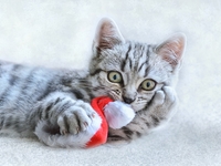 Гороскоп на 25 декабря 2021 года для всех знаков зодиака