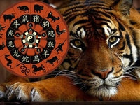 Приручи тигра: главные особенности людей, родившихся в год Тигра