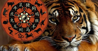 Приручи тигра: главные особенности людей, родившихся в год Тигра