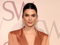 Кендалл Дженнер показала маникюр, который вы точно захотите повторить