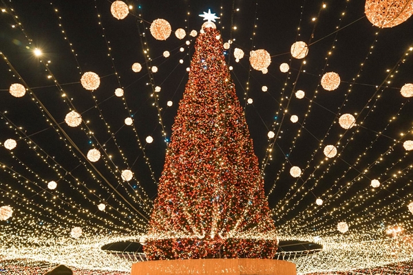 Самая главная елка страны