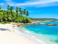 Что делать на Шри-Ланке? Доступный остров для идеального отдыха