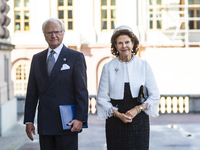 Король и королева Швеции заразились коронавирусной инфекцией