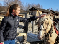 Куда поехать в выходные: программа «Мир лошадей» с уникальными породами