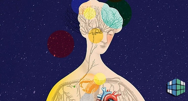 Какие 5 заболеваний вызывает психосоматика