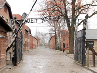 Международный день памяти жертв Холокоста: важная дата