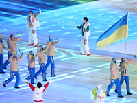 Зимняя Олимпиада-2022: фото сборной Украины на церемонии открытия