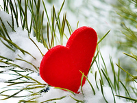 Гороскоп на 7 февраля 2022 года для всех знаков зодиака