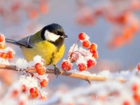 Гороскоп на 13 февраля 2022 года для всех знаков зодиака