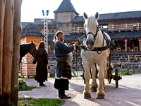 Куда поехать на выходных: средневековье и лошади