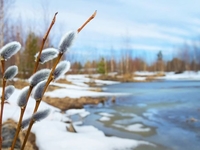 Гороскоп на 21 февраля 2022 года для всех знаков зодиака