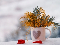 Гороскоп на 24 февраля 2022 года для всех знаков зодиака