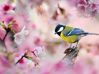 Гороскоп на 10 апреля 2022 года для всех знаков зодиака