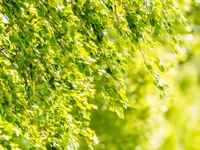 Запреты дня 11 апреля 2022: что нельзя делать на Берещенье