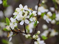 Гороскоп на 11 апреля 2022 года для всех знаков зодиака