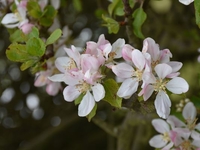 Запреты дня 19 апреля 2022: что нельзя делать на Евтихий день