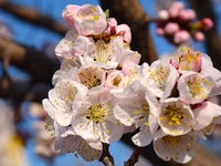 Гороскоп на 24 апреля 2022 года для всех знаков зодиака