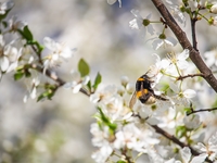 Гороскоп на 26 апреля 2022 года для всех знаков зодиака