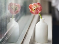 Гороскоп на 28 апреля 2022 года для всех знаков зодиака