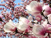 Гороскоп на 30 апреля 2022 года для всех знаков зодиака