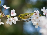 Какой будет погода в мае 2022: прогноз синоптика