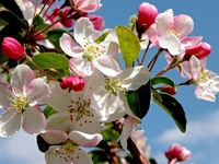 Гороскоп на 4 мая 2022 года для всех знаков зодиака