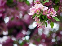 Гороскоп на 6 мая 2022 года для всех знаков зодиака