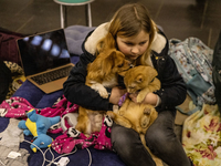 Как война отразится на психике детей: рассказывает доктор Комаровский