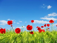 Гороскоп на 8 мая 2022 года для всех знаков зодиака