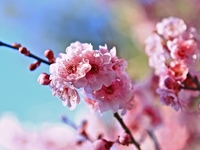 Гороскоп на 12 мая 2022 года для всех знаков зодиака