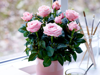 Гороскоп на 13 мая 2022 года для всех знаков зодиака