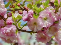 Гороскоп на 14 мая 2022 года для всех знаков зодиака