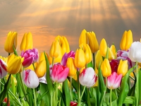 Гороскоп на 17 мая 2022 года для всех знаков зодиака