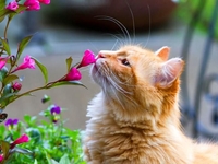 Гороскоп на 18 мая 2022 года для всех знаков зодиака