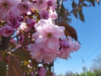 Гороскоп на 19 мая 2022 года для всех знаков зодиака