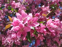 Гороскоп на 20 мая 2022 года для всех знаков зодиака