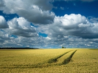 Запреты дня 23 мая 2022: что нельзя делать на Симонов день