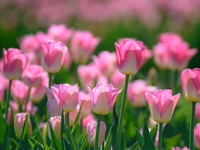 Гороскоп на 21 мая 2022 года для всех знаков зодиака